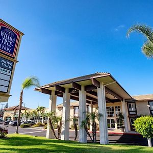 Willow Tree Inn Los Angeles- Near Stub Hub Center